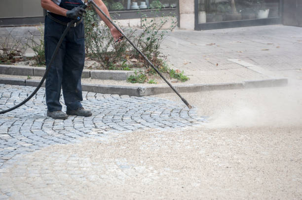 Best Pre-Holiday Cleaning  in Bowmanstown, PA